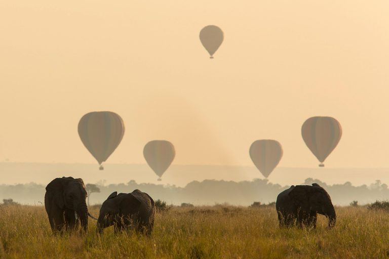 Balloon time with elephants