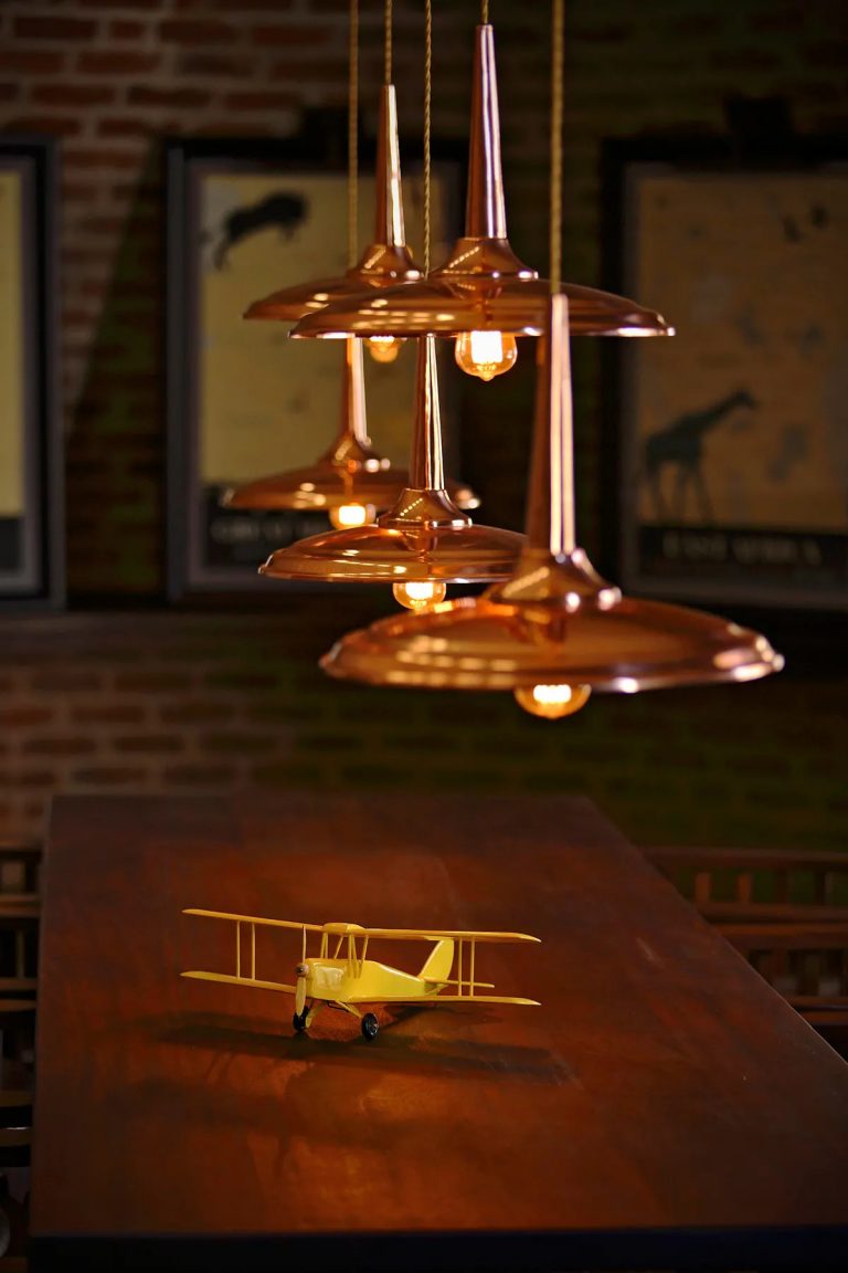 Tiger moth