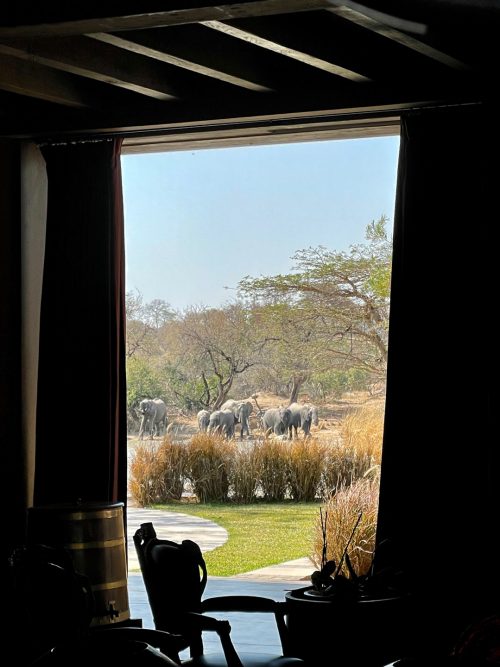 Situated on the largest dam in the reserve, Kubili House is the ultimate sofa-safari