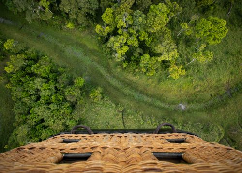 Above: Looking down on the verdant carpet of the Mara