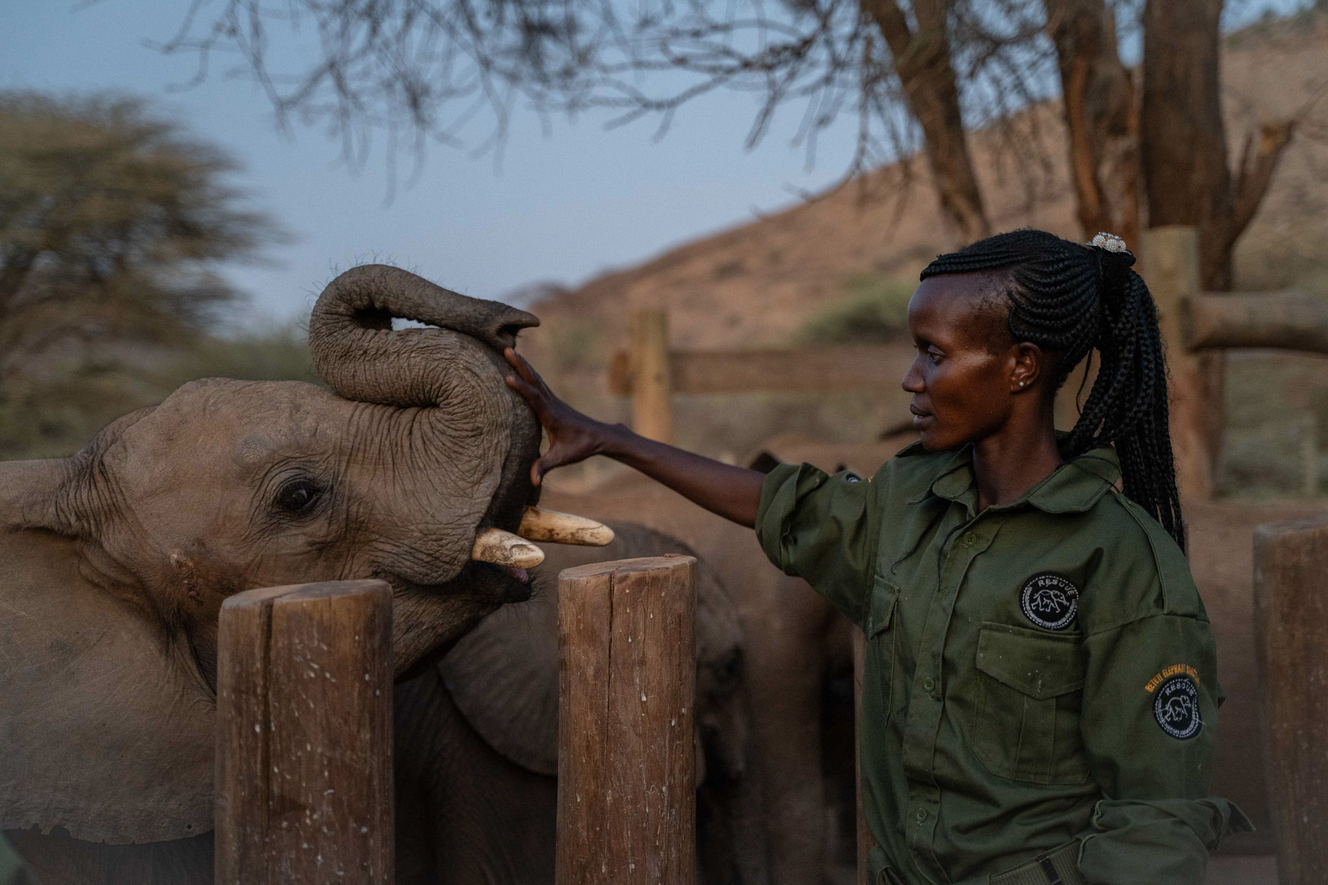 Above: Keeper Pauline giving cuddles before bedtime