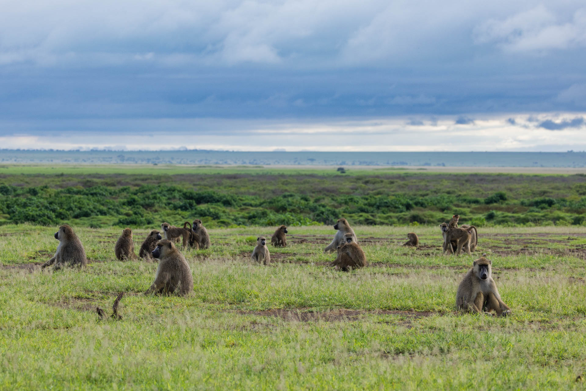F 6.3, 1/640, ISO 320 | Sammy Njoroge
